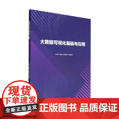大数据可视化基础与应用 杨敖等 著 大中专教材教辅