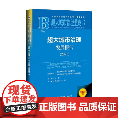 超大城市治理发展报告 2025 林维等 著 社会科学
