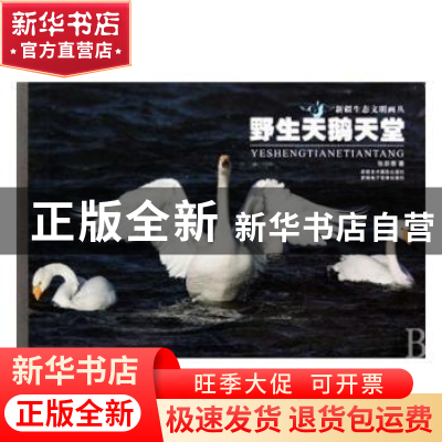 正版 野生天鹅天堂 张新泰著 新疆美术摄影出版社 9787546901893