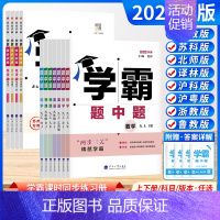 [题中题]化学 (鲁教版) 九年级上 [正版]学霸题中题数学2024秋江苏版七上八上九上物理学霸数学七下七年级八年级九年