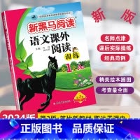 [单元检测]语文课外阅读A版 小学一年级 [正版]2024新版新黑马阅读语文课外阅读训练A版通用版小学一年级全一册1年级