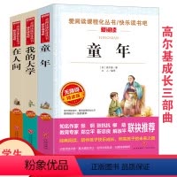 [正版]3册爱阅读童年+我的大学+在人间