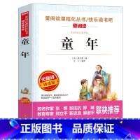 [六年级上册必读]童年 [正版]爱丽丝漫游奇境记书原着版六年级下册必读课外书教师小学生经典书目阅读书籍6下学期老师天地出