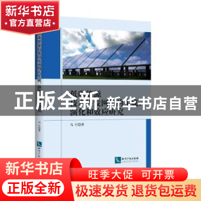 正版 低碳能源技术研发网络的生成、演化和效应研究 马玎著 知识