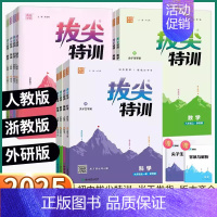 英语-译林版 九年级下 [正版]2025版拔尖特训初中七八九年级上册下册数学科学浙江语文英语物理化学人教版浙教版外研版初