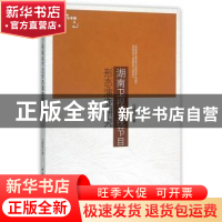 正版 湖南卫视电视节目形态演变研究 冯晓临著 中国社会科学出版