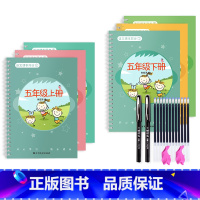 五年级上下册/6本 [正版]一年级二年级三年级上册下册语文同步练字帖凹槽四五六人教版小学生每日一练硬笔书法楷书练字本笔画