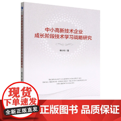 中小高新技术企业成长阶段技术学习战略研究