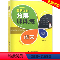 二年级下语文单本 小学通用 [正版]学校分层课课练任选语文数学英语N版一二三三四五六八七九年级上第一学期小学初中用课后A