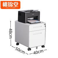 桃锦堂 钢制活动柜两抽 个