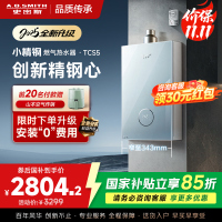 史密斯佳尼特[小精钢TCS5]13升精钢燃气热水器 国家补贴 JSQ26-TCS5 安全守护 持久恒温大水量 新品