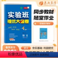 语文 九年级/初中三年级 [正版]2024春实验班提优大考卷九年级下册语文人教版初中同步测试卷期中期末达标练习全套讲解中