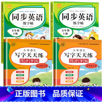 英语字帖+语文字帖(上册+下册) 小学五年级 [正版]2025新 五年级下册英语字帖人教版pep 手写体同步练字帖上册