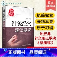 [正版]中医课程速记丛书 针灸经穴速记歌诀 胡波 中医课程速记丛书 针灸疗法基本知识 中医院校本专科学生参考用书 临床