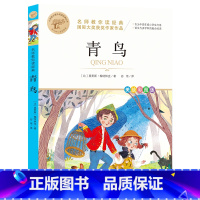 [全彩插图]青鸟 [正版]暑假必读书目绿山墙的安妮全套原著小学语文课外阅读经典丛书低年级二三四五年级睡前故事书注音版老师