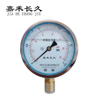 嘉禾长久 耐震压力表检测型 YTN100 0-0.25Mpa 块