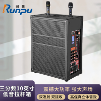 润普Runpu会议音频扩声 三分频10英寸低音卡拉OK户外演出活动野外作训带话筒拉杆音箱RP-S-LGP10F