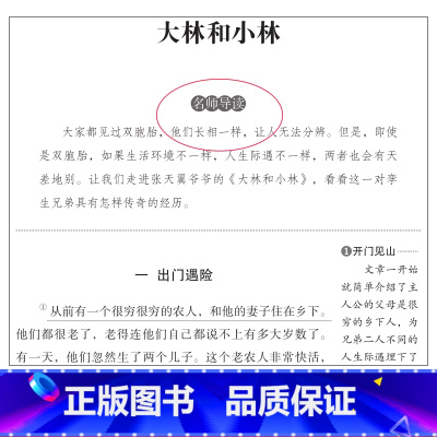 [正版]大林和小林 张天翼天地出版社名师导读版班主任三年级四年级五六必读课外书8-12岁青少版儿童文学读物3-6年级畅