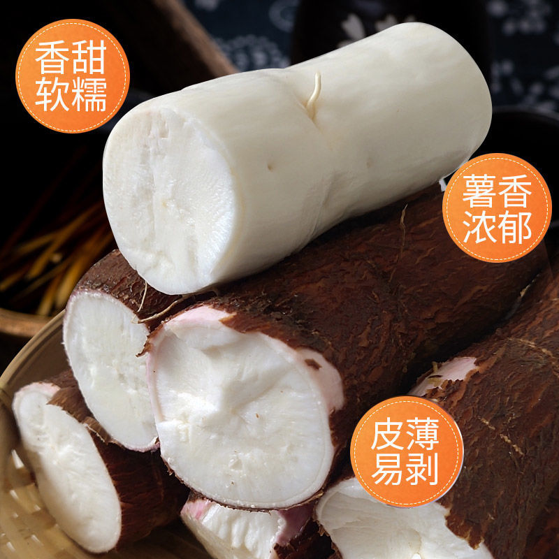 广西特产面包木薯新鲜现挖红皮白肉木薯粗粮2/3/5/10斤薯粉香番薯