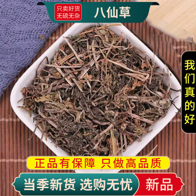 八仙草100克甄选八仙草正品干货猪秧秧草纯新货猪殃殃猪秧秧锯子草9260