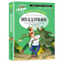 正版新书]钢铁是怎样炼成的(美绘版)/名师点评人生必读书奥斯特