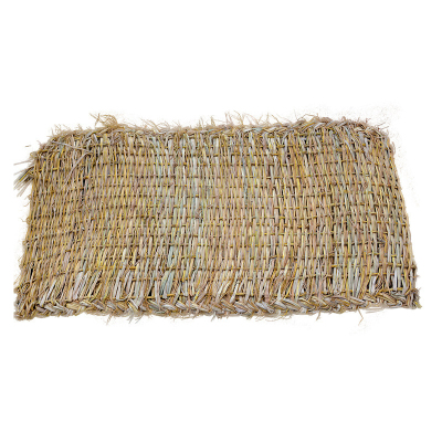 彩标 CB6090 60*90cm 防汛草袋 (计价单位:个) 黄色