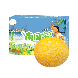 礼盒装[苏鲜生]黄金蜜瓜 净重4.5斤 2-3个 冰淇淋新鲜水果当季哈蜜瓜