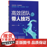 高效团队的带人技巧