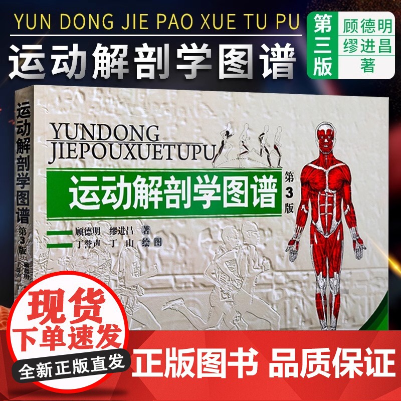 [正版]运动解剖学图谱 第3版 人民体育出版社运动解刨学运动医学书运动训练力量健身人体肌肉全面解剖图谱体育医学专业书籍