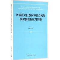 音像区域重大自然灾害社会风险演化机理及应对策略徐选华 著