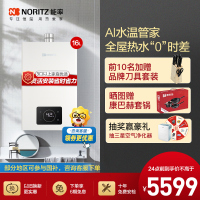 能率(NORITZ)16升零冷水燃气热水器 GQ-16E5FEXQ)天然气 分段燃烧 多维防干扰 降噪强排式