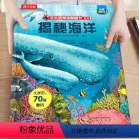 1.揭秘海洋 [正版]揭秘系列儿童翻翻书3-6-8-12岁以上太空海洋恐龙人体汽车火车飞机绘本3d立体科普大小百科全书小