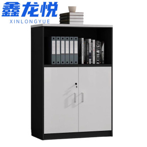 鑫龙悦办公柜