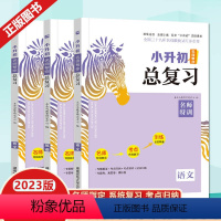 [语文+数学+英语·小升初总复习] 小学升初中 [正版]木头马小升初总复习名师特训人教版语文数学英语全套必刷题真题卷20