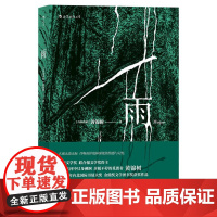 雨 黄锦树 郁达夫奖马来西亚华语金鼎奖图书奖获奖作品 短篇小说作品集文学书籍