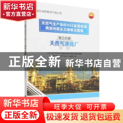 正版 天然气生产场所HSE监督检查典型问题及正确做法图集(第3分册