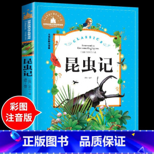 昆虫记 [正版]兔子坡注音版 适合小学生一年级二年级三年级下册课外书的书目老师经典书籍上册儿童漫画绘本故事书全套新蕾出版