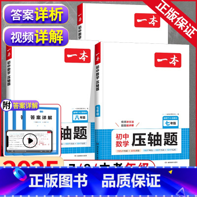 3本]七八九年级 数学压轴题-人教版 初中通用 [正版]2025新版初中数学压轴题七年级八年级中考人教版初一初二三九年级