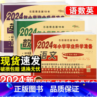 小学毕业升学卷·语数英-3本套 小学通用 [正版]2024小升初知识大集结小学语文数学英语升学夺冠基础重点知识大全通用版