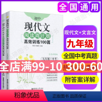 [正版]初中课外文言文阅读周计划高效训练120篇+现代文阅读训练100篇 九年级+中考第一二学期上下册 中考语文现代文