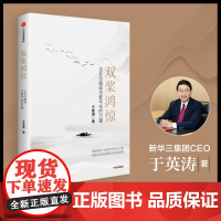 双桨鸿惊 企业价值观与数字化的力量 于英涛著 新华三数字变革之路 企业持续增长的底层逻辑 管理
