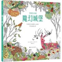 正版新书]魔幻城堡金善贤9787510838675