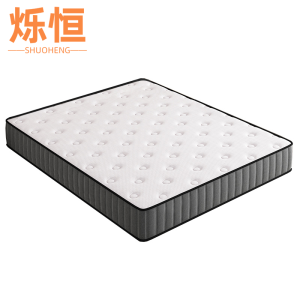烁恒 弹簧垫 100*200cm 张