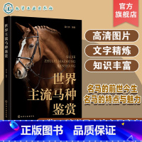 [正版]世界主流马种鉴赏 一本书了解世界主流马种 马的起源与进化 马的身体结构 与马相关的运动 热血马温血马冷血马野马