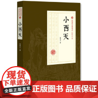 小西天(民国通俗小说典藏文库·张恨水卷) 张恨水 中国文史出版社 正版书籍