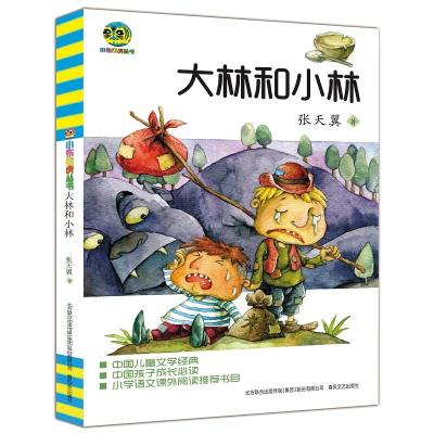 小布老虎丛书:大林和小林(儿童文学经典版)