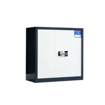 乙壬保密柜财务档案柜文件柜办公室资料储物柜保险柜电子密码国保锁矮柜灰白-国保密码锁