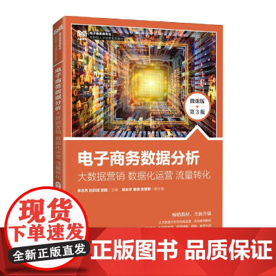 电子商务数据分析:大数据营销 数据化运营 流量转化(微课