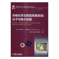 音像光电化学太阳能转换系统:分子与层面[德]安德烈斯 G.穆尼奥斯