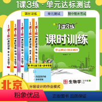 语数英[北京专版3本] 九年级/初中三年级 [正版]任选北京版一课三练课时训练语文数学英语地理政治生物七八九年级上下册初